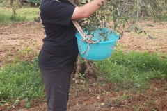 789a7601-9719-450e-81b2-188473754452